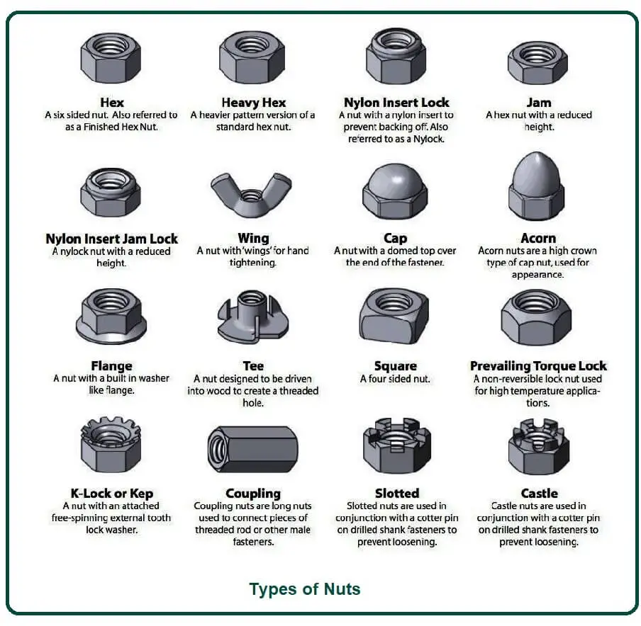 Types of Nuts.
